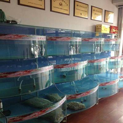 東莞黃江海鮮缸定制及養(yǎng)殖技術(shù)指南